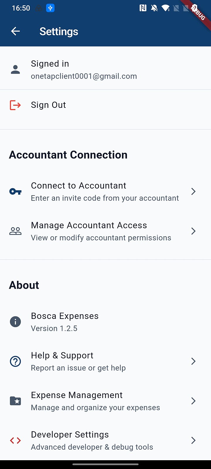 Settings screen with Developer Settings at the bottom under About